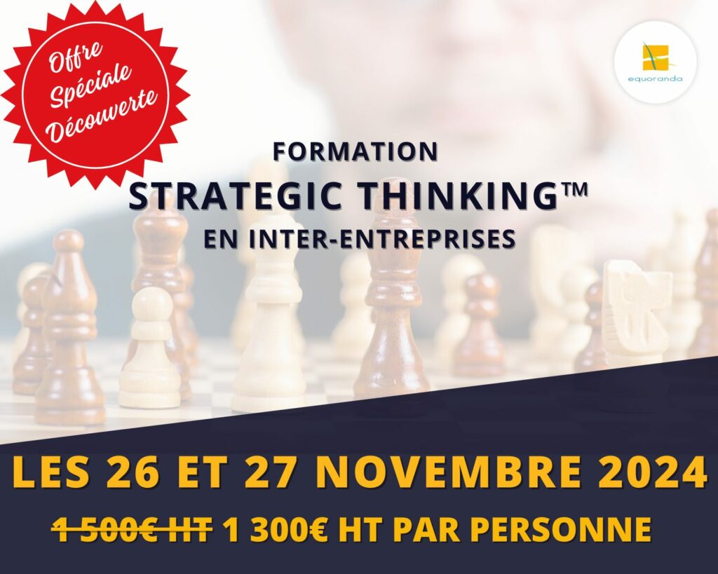 Formation inter-entreprises Strategic Thinking avec Equoranda